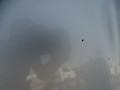 DSC05168.JPG