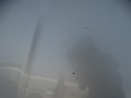 DSC05169.JPG