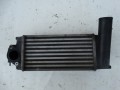 DSC05312.JPG