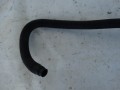 DSC09590.JPG