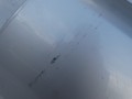 DSC07834.JPG