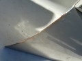 DSC07931.JPG