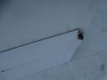 DSC07993.JPG