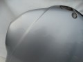 DSC08487.JPG