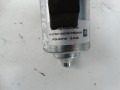 DSC03079.JPG