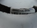 DSC02201.JPG