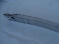 DSC02447.JPG