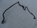 DSC07184.JPG