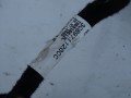 DSC07408.JPG