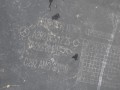 DSC00765.JPG