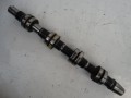 DSC08208.JPG