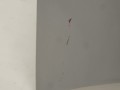 DSC03078.JPG