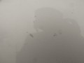 DSC03086.JPG