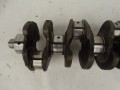 DSC03100.JPG
