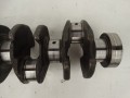 DSC03108.JPG