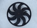 DSC09565.JPG
