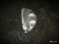 6081329687