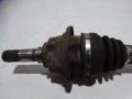 DSC04231.JPG