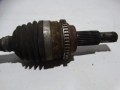 DSC04233.JPG