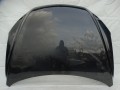 DSC04446.JPG