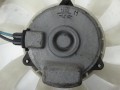 DSC06417.JPG