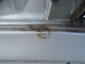 DSC07426.JPG