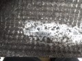 DSC00266.JPG
