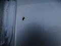 DSC01311.JPG