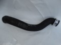 DSC01664.JPG
