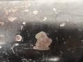 DSC05155.JPG