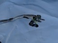 DSC07976.JPG