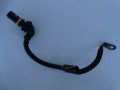 DSC09892.JPG