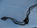 DSC08752.JPG