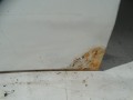 DSC09782.JPG