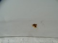 DSC09783.JPG