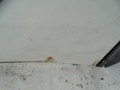 DSC09785.JPG