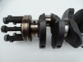 DSC02955.JPG