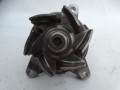 DSC07431.JPG