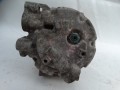 DSC07436.JPG