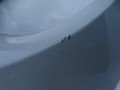 DSC04819.JPG