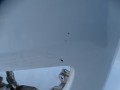 DSC04820.JPG