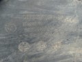 DSC05290.JPG