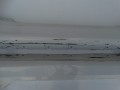 DSC05410.JPG