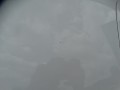 DSC05573.JPG
