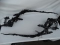 DSC05799.JPG