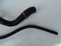 DSC05899.JPG