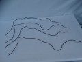 DSC07071.JPG