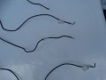 DSC07073.JPG