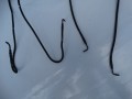 DSC07080.JPG