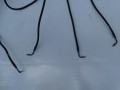 DSC07081.JPG